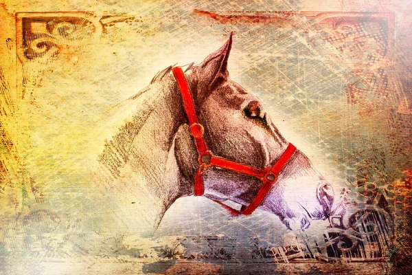 Colorful Horse Art Illustration Grunge Painting Photography Winter — Stock Photo, Image