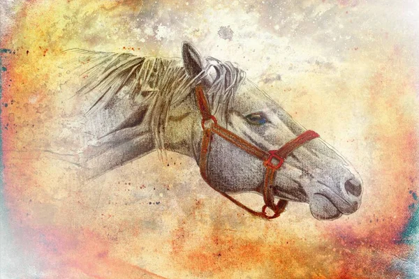 Colorful Horse Art Illustration Grunge Painting Photography Winter — Stock Photo, Image