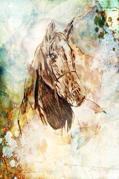 Renkli at sanatı çizimi grunge fotoğraf çekimi kış