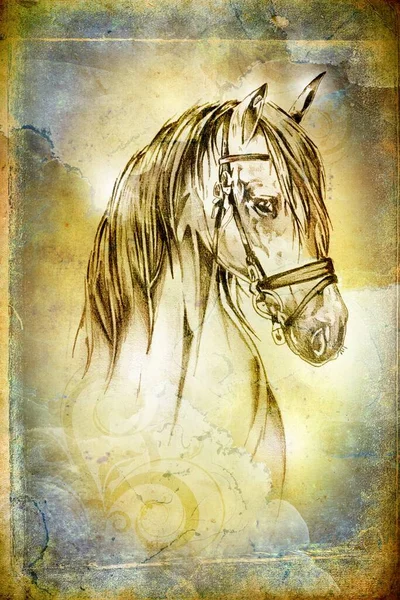 Renkli at sanatı çizimi grunge fotoğraf çekimi kış