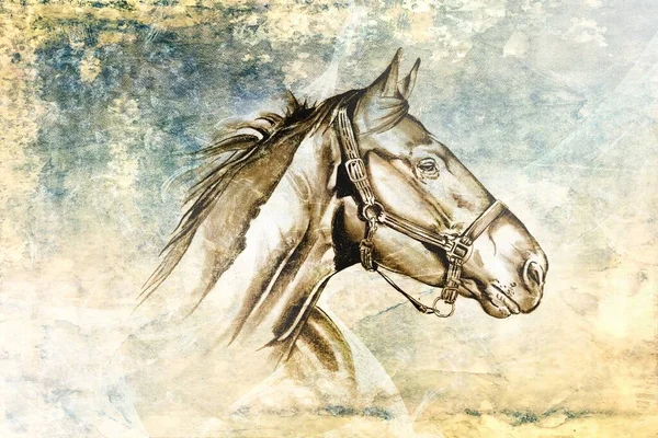 Colorido Caballo Arte Ilustración Grunge Pintura Fotografía Invierno —  Fotos de Stock