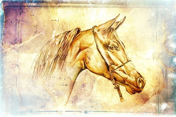 Bunte Pferd Kunst Illustration Grunge Malerei Fotografie Winter — Stockfoto