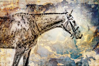 Renkli at sanatı çizimi grunge resmi