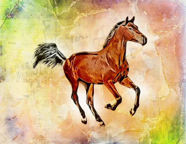 Colorful Horse Art Illustration Grunge Painting Drawing — Photo