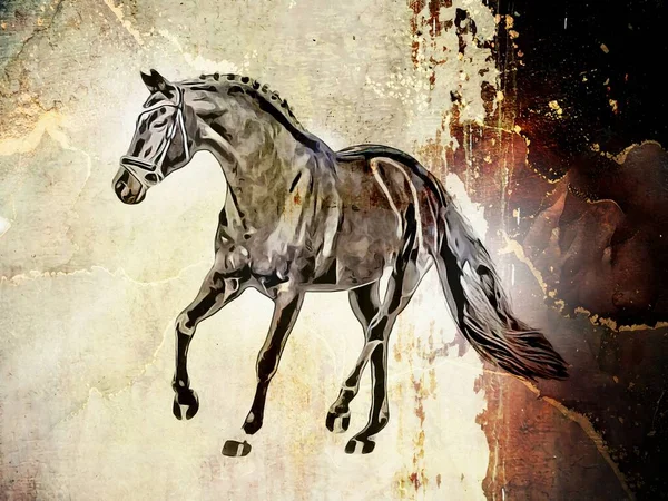Colorful Horse Art Illustration Grunge Painting Drawing —  Fotos de Stock