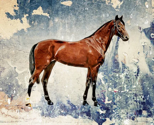 Colorato Cavallo Arte Illustrazione Grunge Pittura Disegno — Foto Stock