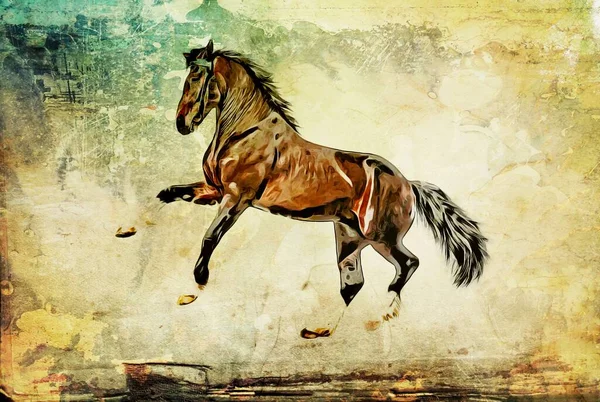 Colorful Horse Art Illustration Grunge Painting Drawing — Fotografia de Stock