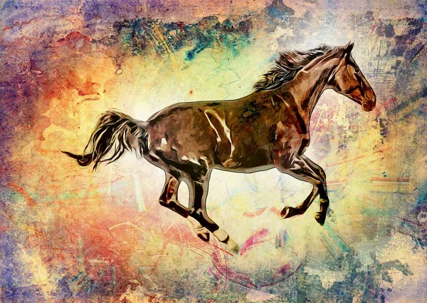 Colorful Horse Art Illustration Grunge Painting Drawing — Stok fotoğraf