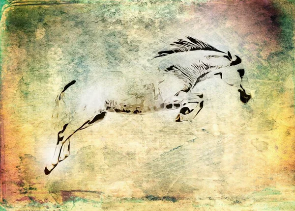Colorful Horse Art Illustration Grunge Painting Drawing — ストック写真