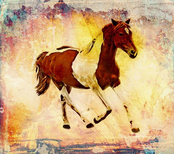 Colorful Horse Art Illustration Grunge Painting Drawing — Stok fotoğraf