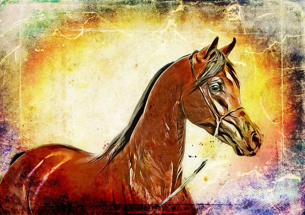Desenho Colorido Pintura Grunge Ilustração Arte Cavalo — Fotografia de Stock
