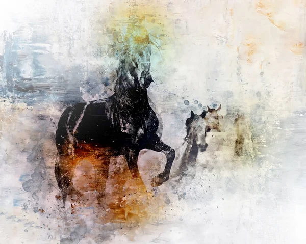 Colorful Horse Art Illustration Grunge Painting Drawing — Stock fotografie