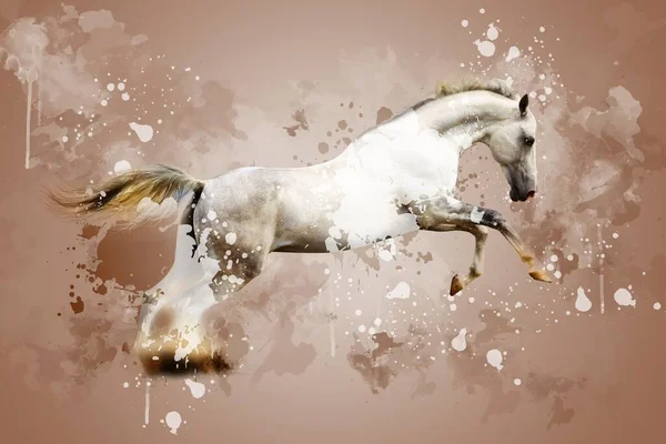 Kleurrijke Paard Kunst Illustratie Grunge Schilderij Tekening — Stockfoto