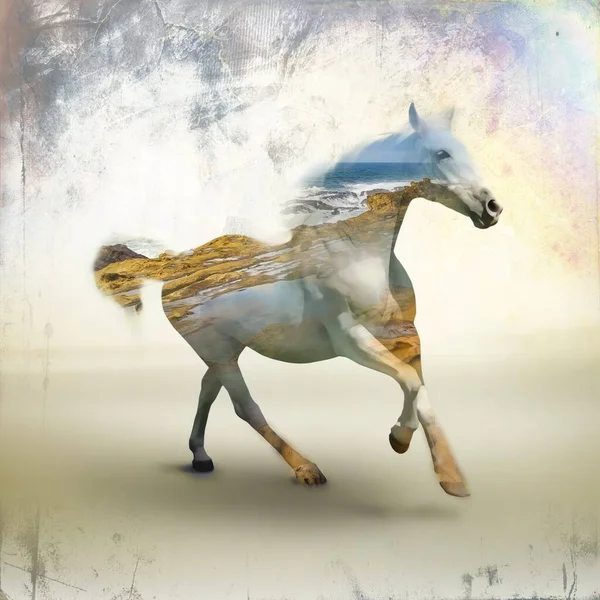 Färgglada Häst Konst Illustration Grunge Målning Ritning — Stockfoto