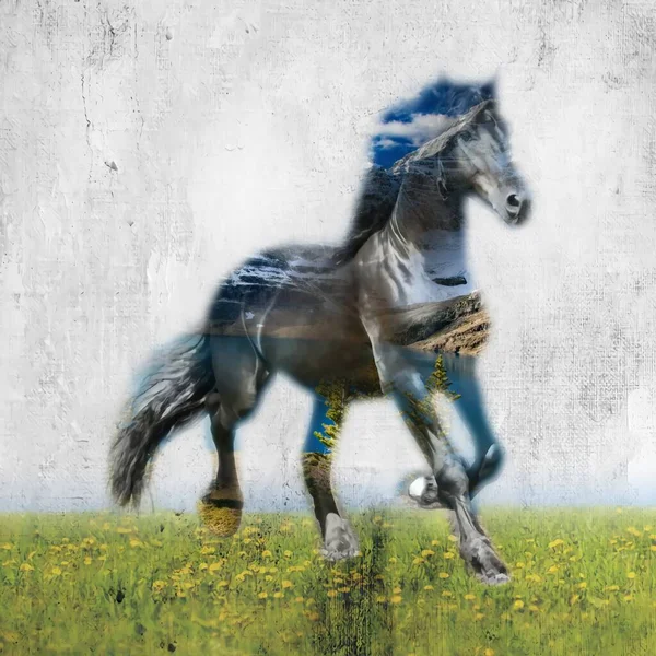 Colorful Horse Art Illustration Grunge Painting Drawing — Stock Photo, Image
