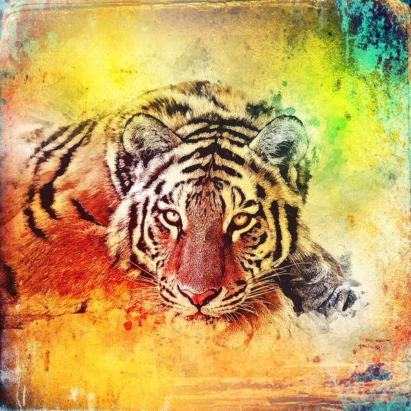 Tiger Art Illustration Drawing Painting Retro Vintage Animal —  Fotos de Stock