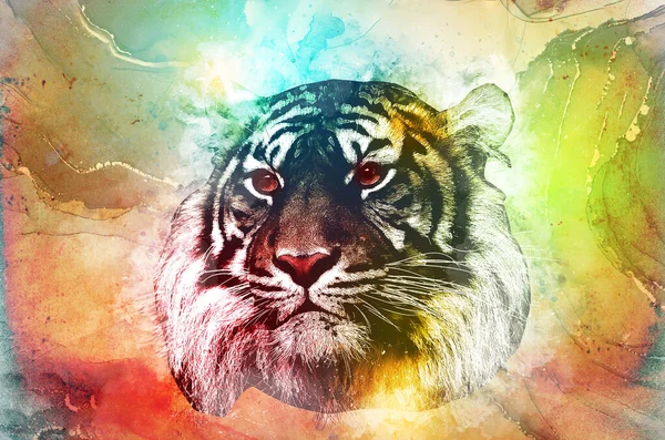 タイガーアートイラスト絵画レトロヴィンテージ動物 — ストック写真