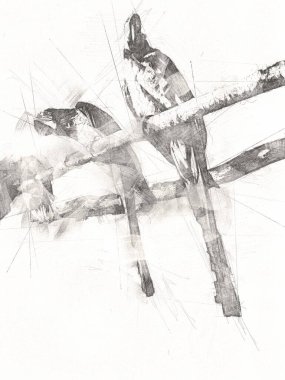 El yapımı eskiz, siyah beyaz, klasik tropikal kuş papağanı ve papağanı.