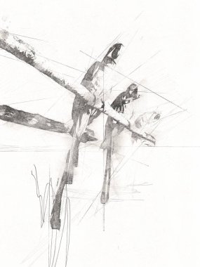 El yapımı eskiz, siyah beyaz, klasik tropikal kuş papağanı ve papağanı.