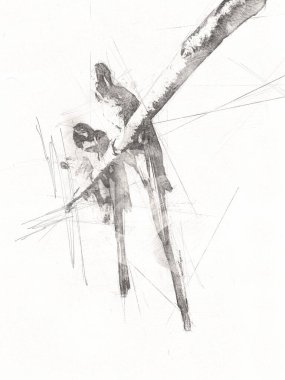 El yapımı eskiz, siyah beyaz, klasik tropikal kuş papağanı ve papağanı.