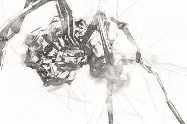 Beyaz arka planda korkunç tarantula örümceği, çizim, soluk soluğa