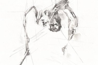 Beyaz arka planda korkunç tarantula örümceği, çizim, soluk soluğa