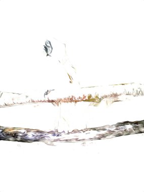 El yapımı eskiz, siyah beyaz, klasik tropikal kuş papağanı ve papağanı.