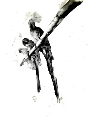 El yapımı eskiz, siyah beyaz, klasik tropikal kuş papağanı ve papağanı.