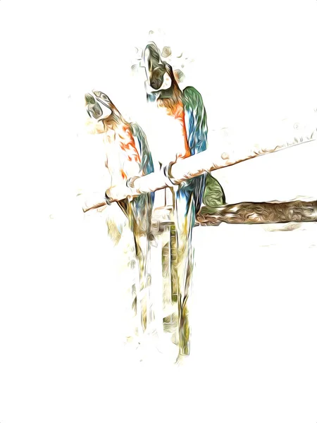 Hand Drawn Sketch Black White Vintage Exotic Tropical Bird Parrot — Stock Photo, Image