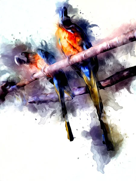 Ręcznie Rysowany Szkic Czerń Biel Vintage Egzotyczna Papuga Tropikalna Papuga — Zdjęcie stockowe