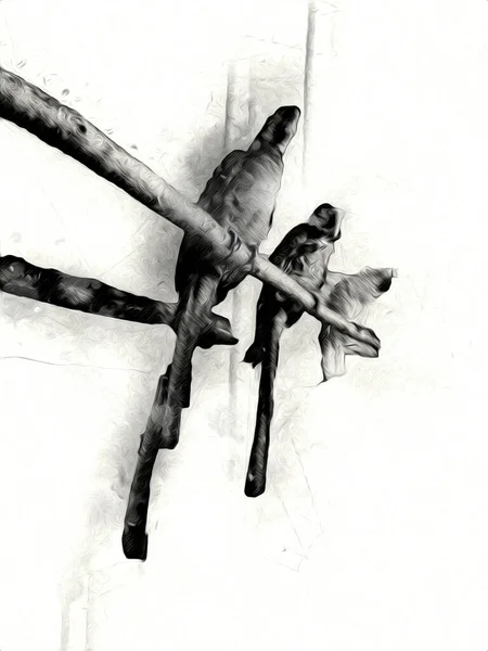 Desenho Desenhado Mão Preto Branco Vintage Exótico Pássaro Tropical Papagaio — Fotografia de Stock