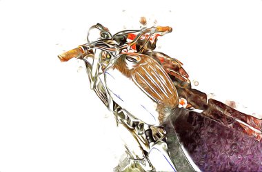 Motosiklet görüntüleme rengi izole edilmiş sanat antika retro