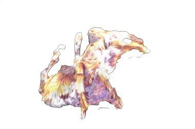 Beyaz arka planda korkunç tarantula örümceği, çizim, soluk soluğa