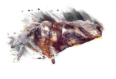 Beyaz arka planda korkunç tarantula örümceği, çizim, soluk soluğa