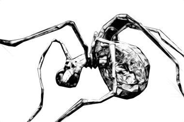 Beyaz arka planda korkunç tarantula örümceği, çizim, soluk soluğa