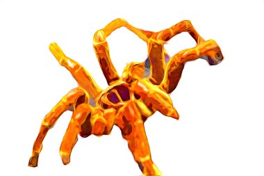 Beyaz arka planda korkunç tarantula örümceği, çizim, soluk soluğa
