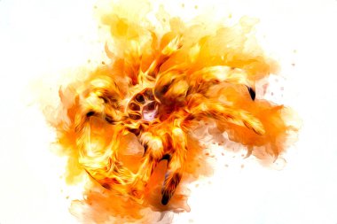 Beyaz arka planda korkunç tarantula örümceği, çizim, soluk soluğa