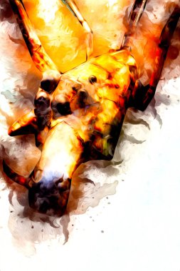 Beyaz arka planda korkunç tarantula örümceği, çizim, soluk soluğa