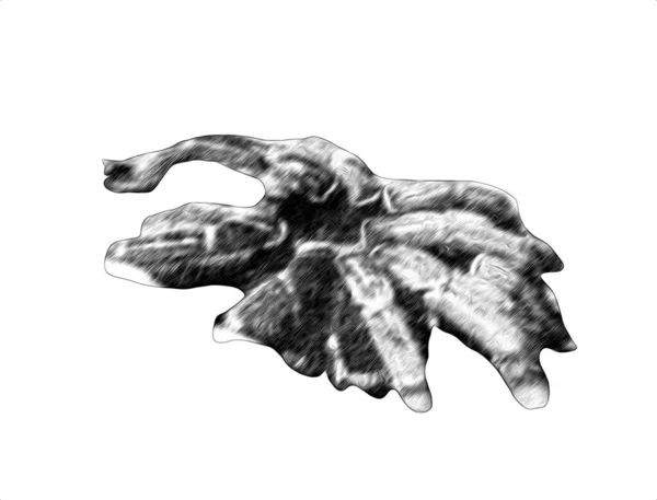 Страшна Тарантула Павук Білому Тлі Ілюстрація Ескіз Панчохи — стокове фото