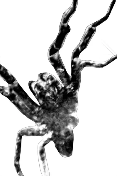 Beyaz Arka Planda Korkunç Tarantula Örümceği Çizim Soluk Soluğa — Stok fotoğraf