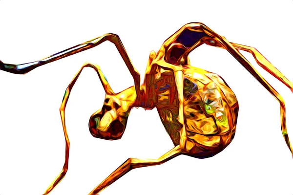Děsivý Tarantula Pavouk Bílém Pozadí Ilustrace Skica Supění — Stock fotografie
