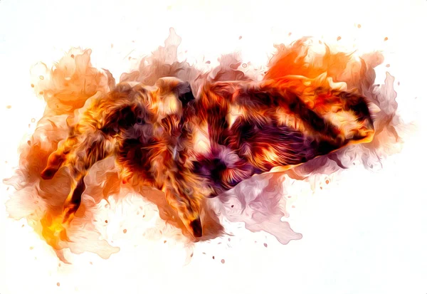 Ijesztő Tarantula Pók Fehér Háttér Illusztráció Vázlat Lihegés — Stock Fotó