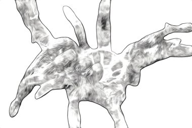 Beyaz arka planda korkunç tarantula örümceği, çizim, soluk soluğa