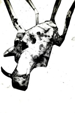 Beyaz arka planda korkunç tarantula örümceği, çizim, soluk soluğa