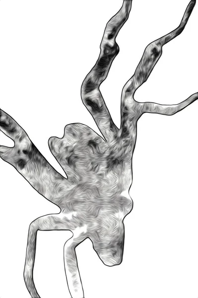 Ijesztő Tarantula Pók Fehér Háttér Illusztráció Vázlat Lihegés — Stock Fotó