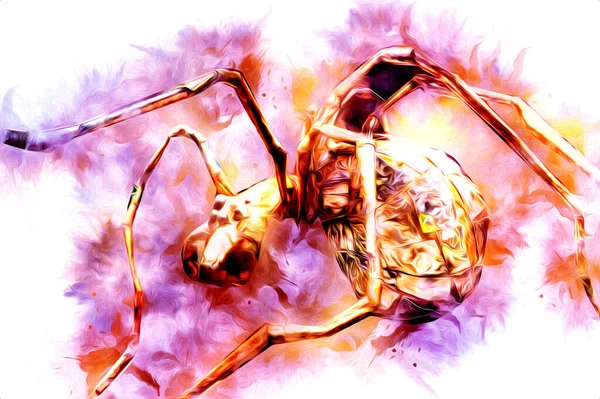 白い背景 イラスト スケッチ パンティングで怖いタランチュラクモ — ストック写真