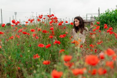 Timisoara, Romanya - Haziran 04, 2016: Haşhaş tarlasında poz veren bir kızın portresi
