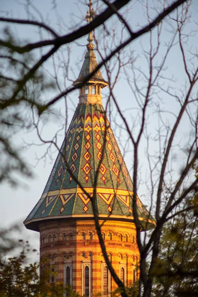 Utsikt Över Den Ortodoxa Katedralen Mellan Träden — Stockfoto
