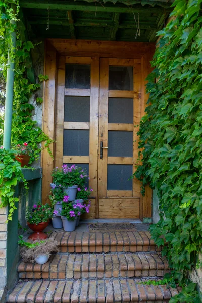 Primo Piano Una Porta Una Casa Coperta Edera — Foto Stock