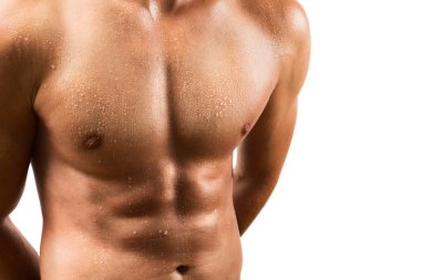 çekici erkek torso